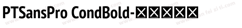 PTSansPro CondBold字体转换